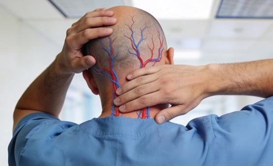 🧠 Кровоснабжение головного мозга: как улучшить и что разрушает сосуды