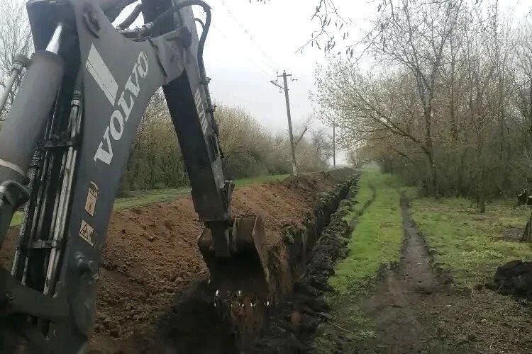    Фото: Правительство Ростовской области