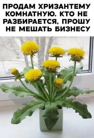 :👍🤣🤣🤣 (из интернета) 