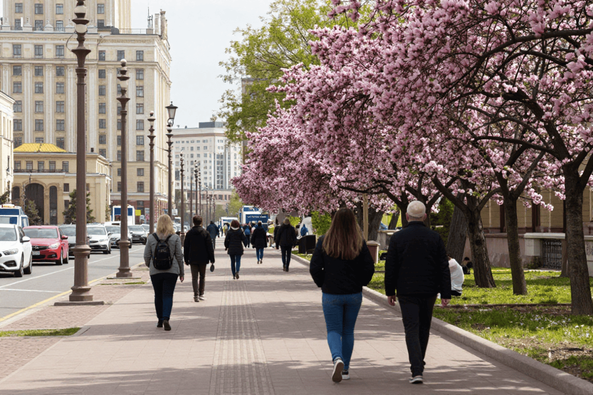 Погода в Москве на майские останется прохладной. Источник: нейросеть📷
