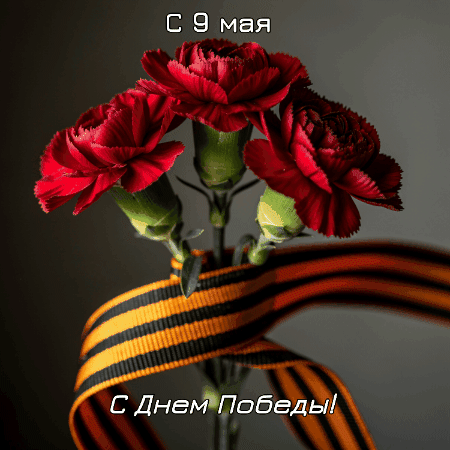 Открытка создана «Известиями»
Мерцающие гиф на 9 Мая — скачать и отправить в один клик