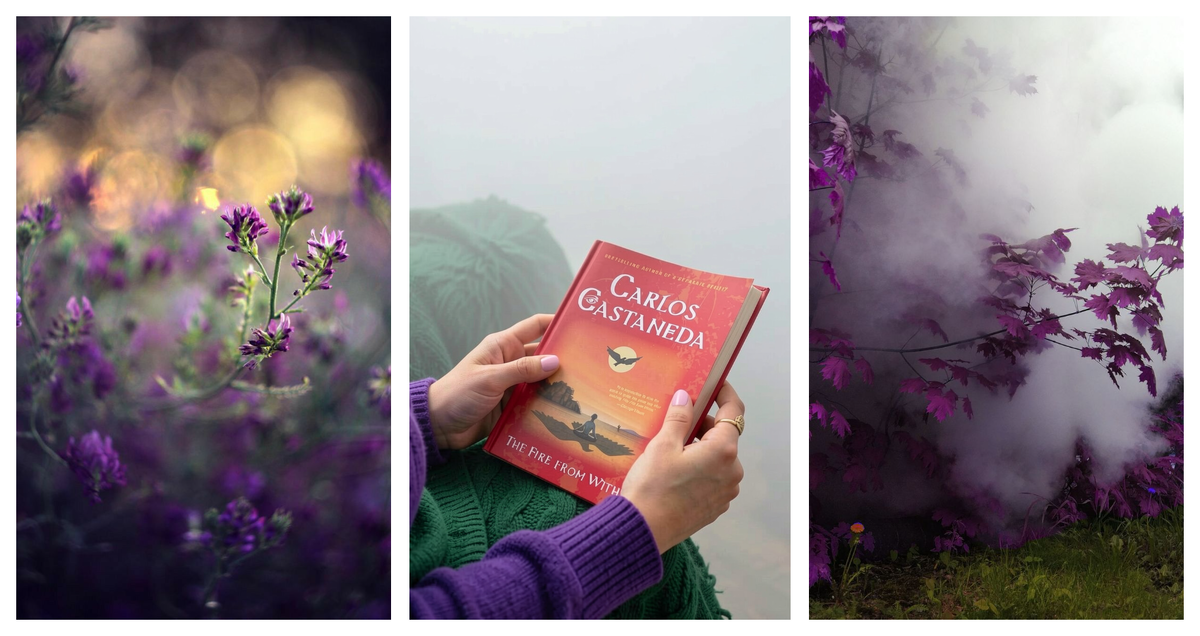 Изучение английского по книге Карлоса Кастанеды