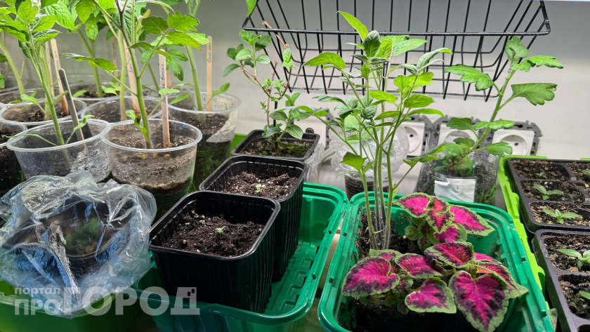    Фото: ПроГород