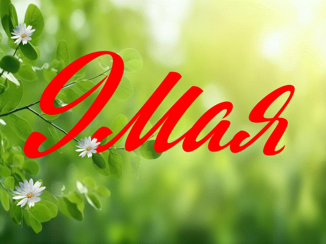 9 мая