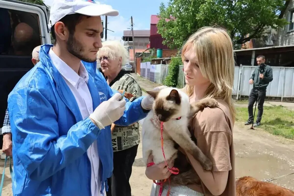   Фото пресс-службы администрации Краснодара