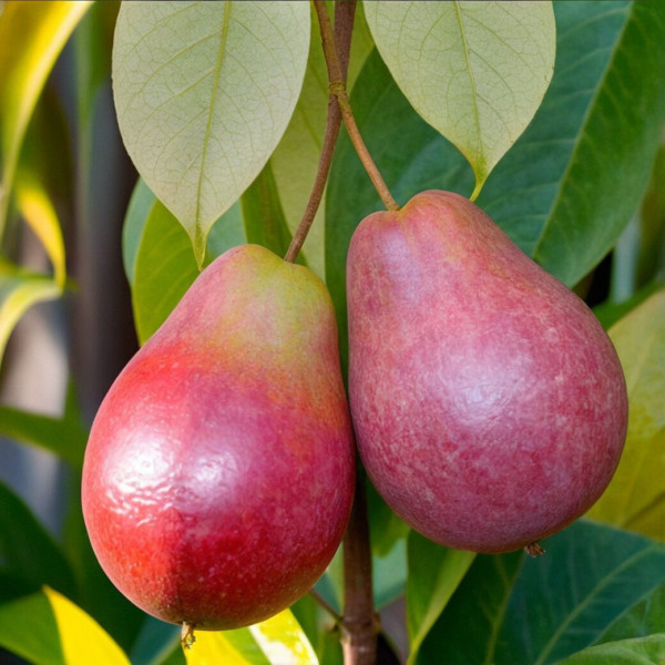   📷
