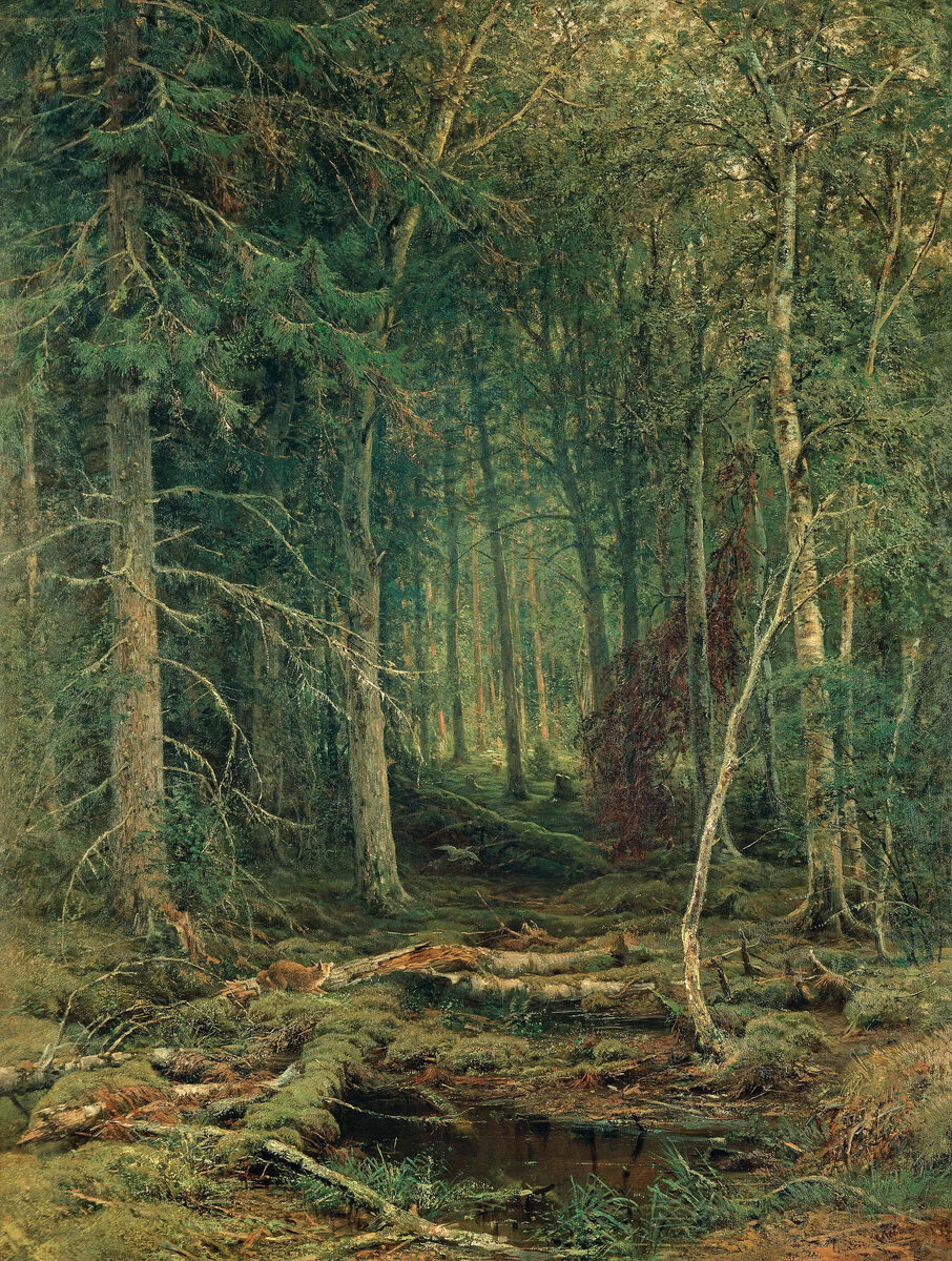 Лесная глушь. 1872. 