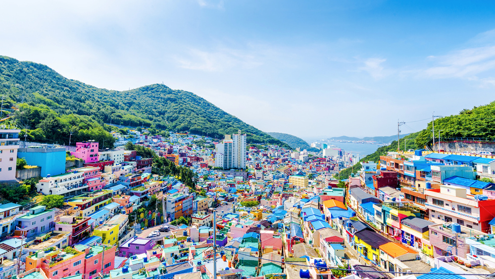     ©Pinglabel/Shutterstock aldita.net