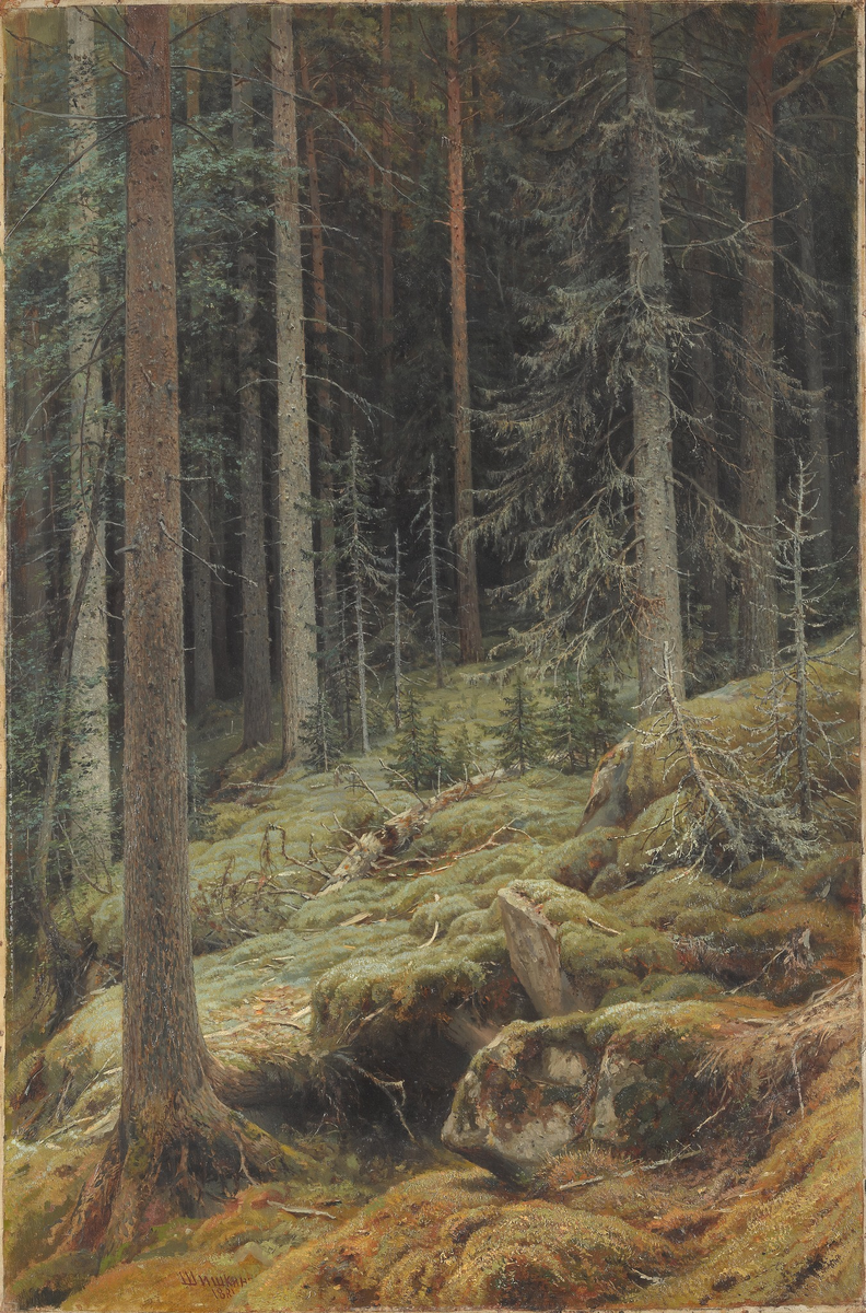 Дебри. 1881. 