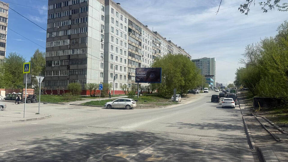     В Новосибирске проводят проверку из-за баннеров с орангутаном ко Дню Победы vk.com/Константин Антонов