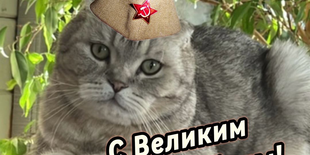 С праздником, друзья🌷🎇