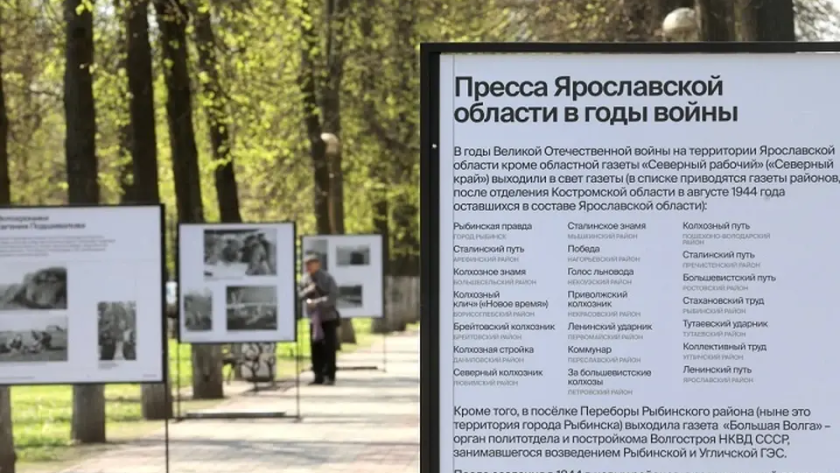    Правительство Ярославской области. с сайта s13.stc.yc.kpcdn.net