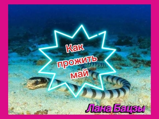 Советы Астрологии Бацзы, как правильно прожить месяц Водяной 