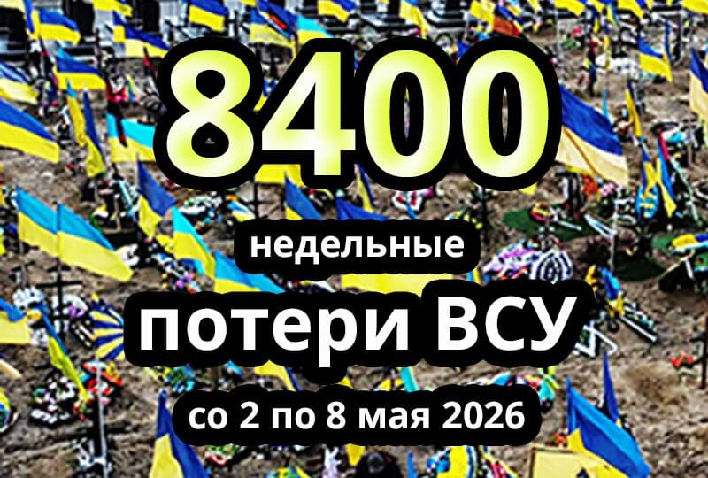    Недельные потери ВСУ