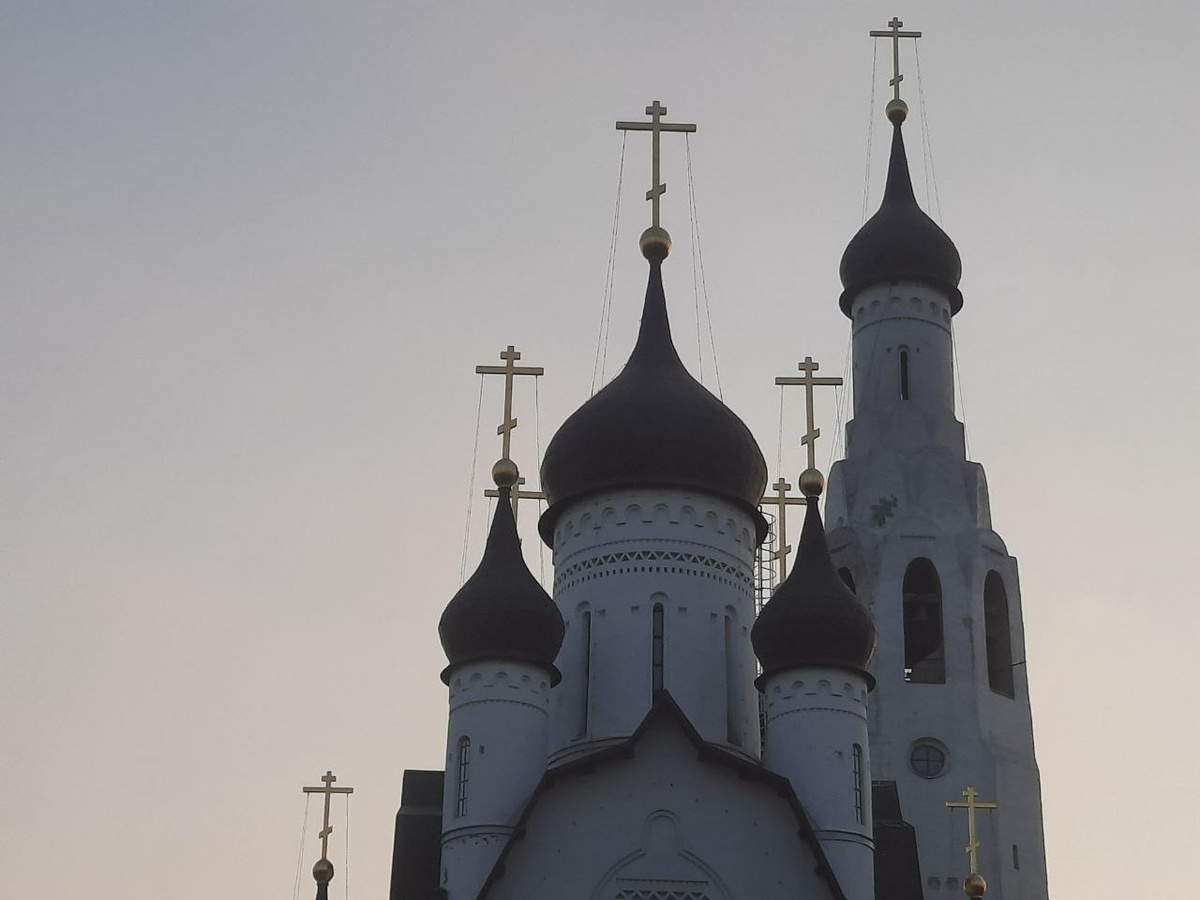    Фото: "Бриф24"