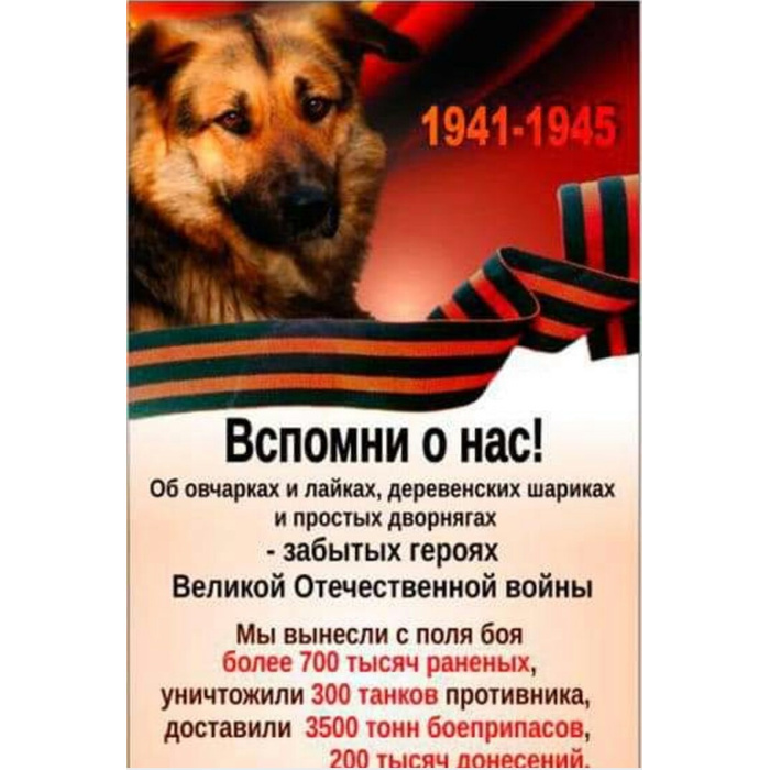Вспомните о четвероногих героях.