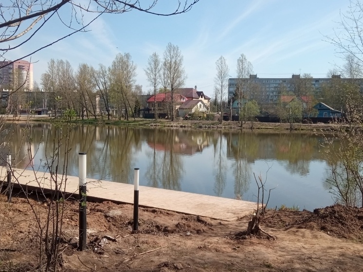     фото ВК Дядьково -76