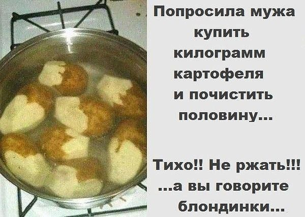 Несколько анекдотов про картошку