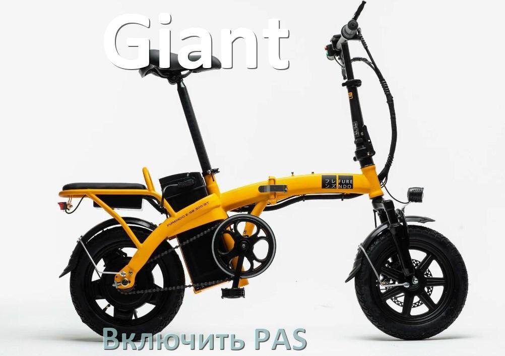
Как на электровелосипеде Giant включить датчик PAS и ассистента педалей