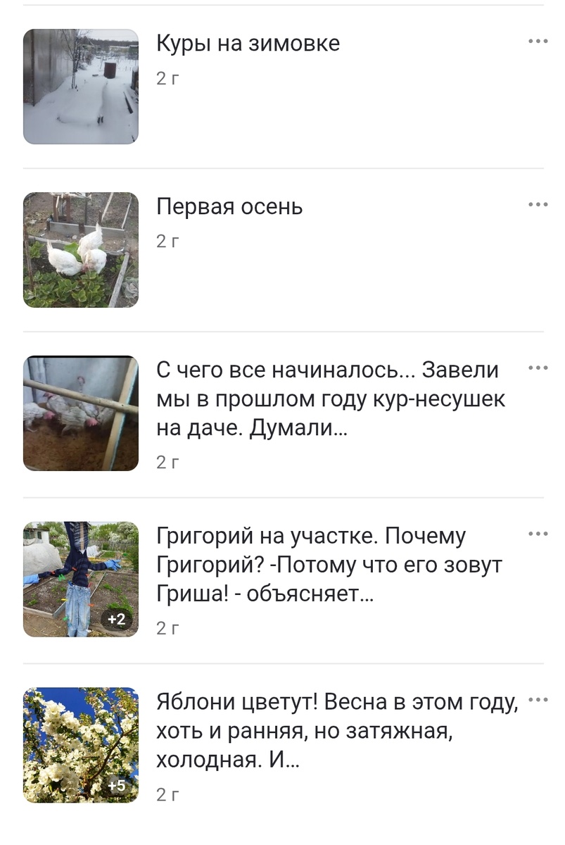 Первые публикации на Дзене
