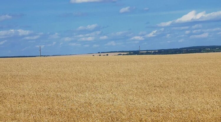 Поздравление с 9 мая – Днем Победы - от агропортала AGRO XXI