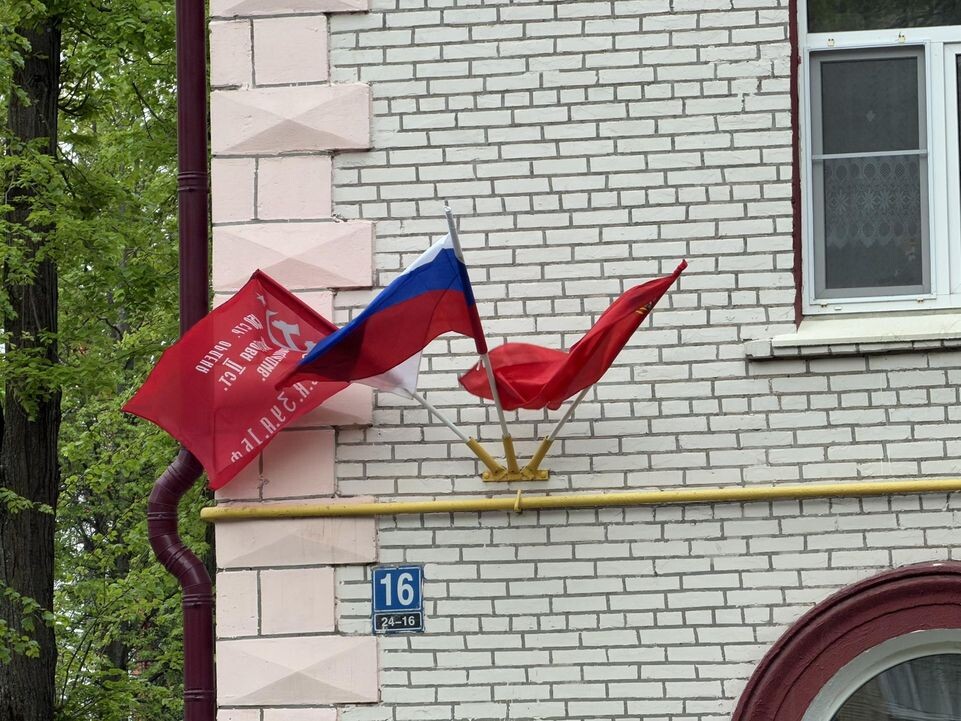     Полина Абраменко