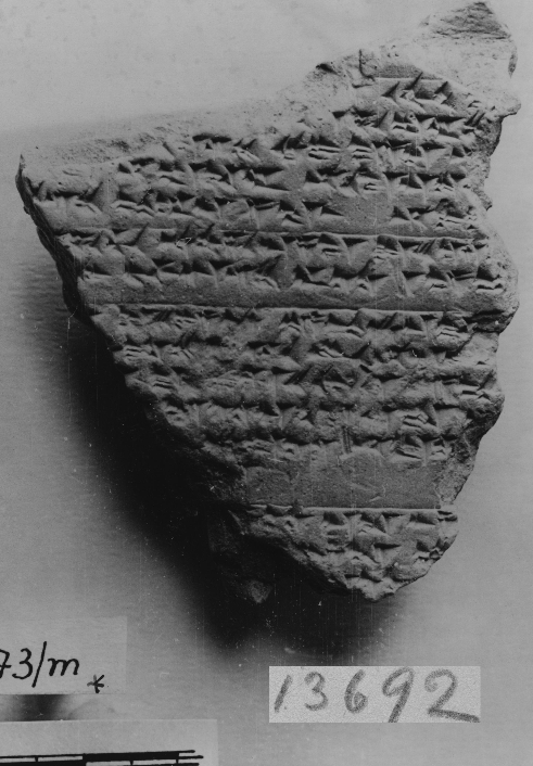 BoFN13692