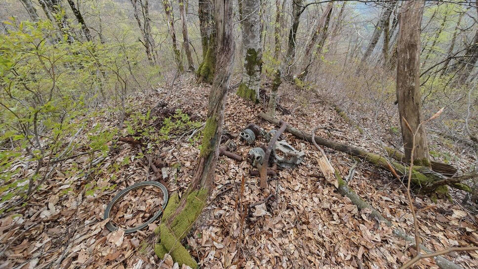 Фото: npsochi.ru