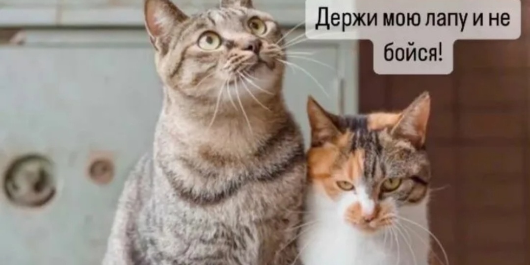 Вчерашняя встреча, которая заставляет задуматься.