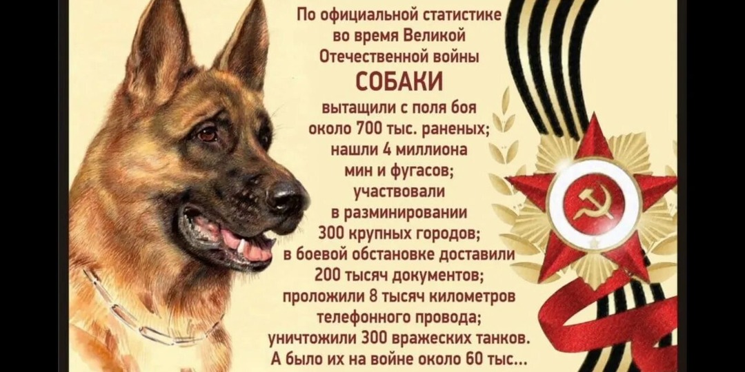 С Великой Победой нас!