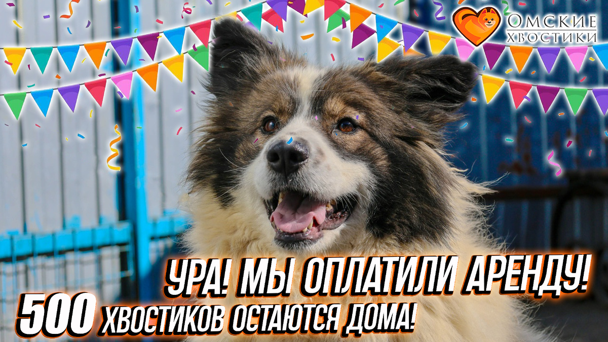  Это значит, что 500 кошачьих и собачьих душ не окажутся на улице.