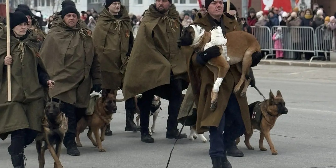 Празднуем всем городом