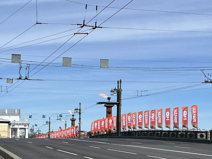     Огни также будут гореть вечером во время праздничного салюта. Фото: МК в Питере / Камилла Латыпова