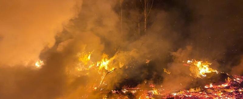 Эксперты рассказали, чем опасен пожар, вспыхнувший в Чернобыле