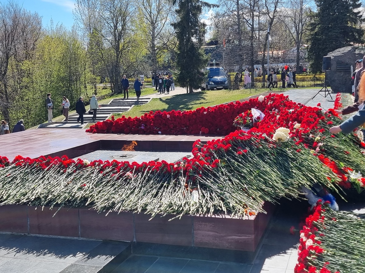    Ирина Яковлева / Фактор