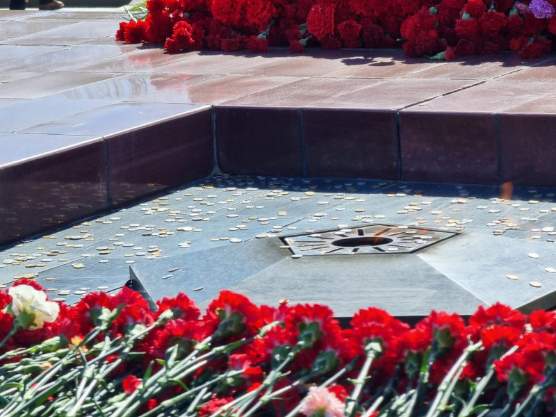    Вечный огонь в Петрозаводске утопает в гвоздикахИрина Яковлева / Фактор