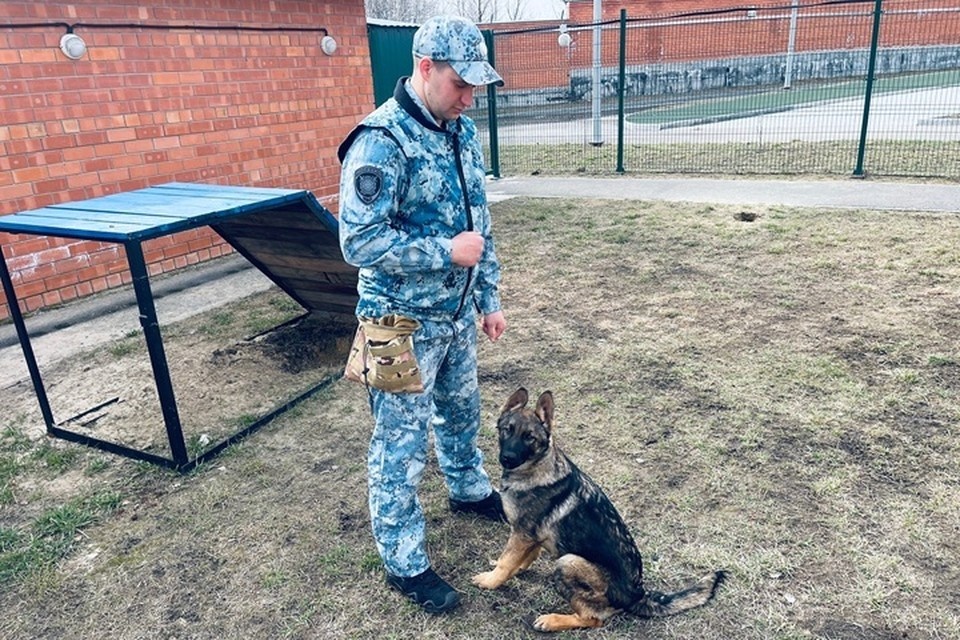    Фото: Полиция Тюменской области