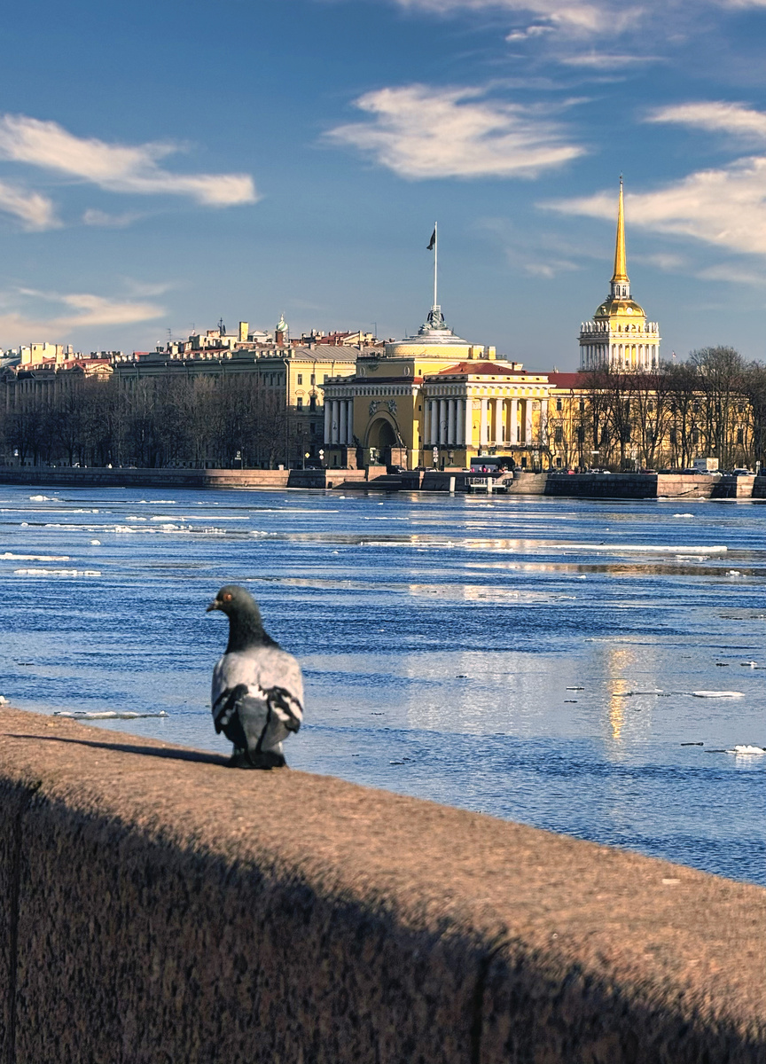 Санкт-Петербург. Фото автора