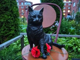 🐾Маленькие герои: как кошки помогали людям во время ВОВ🔥