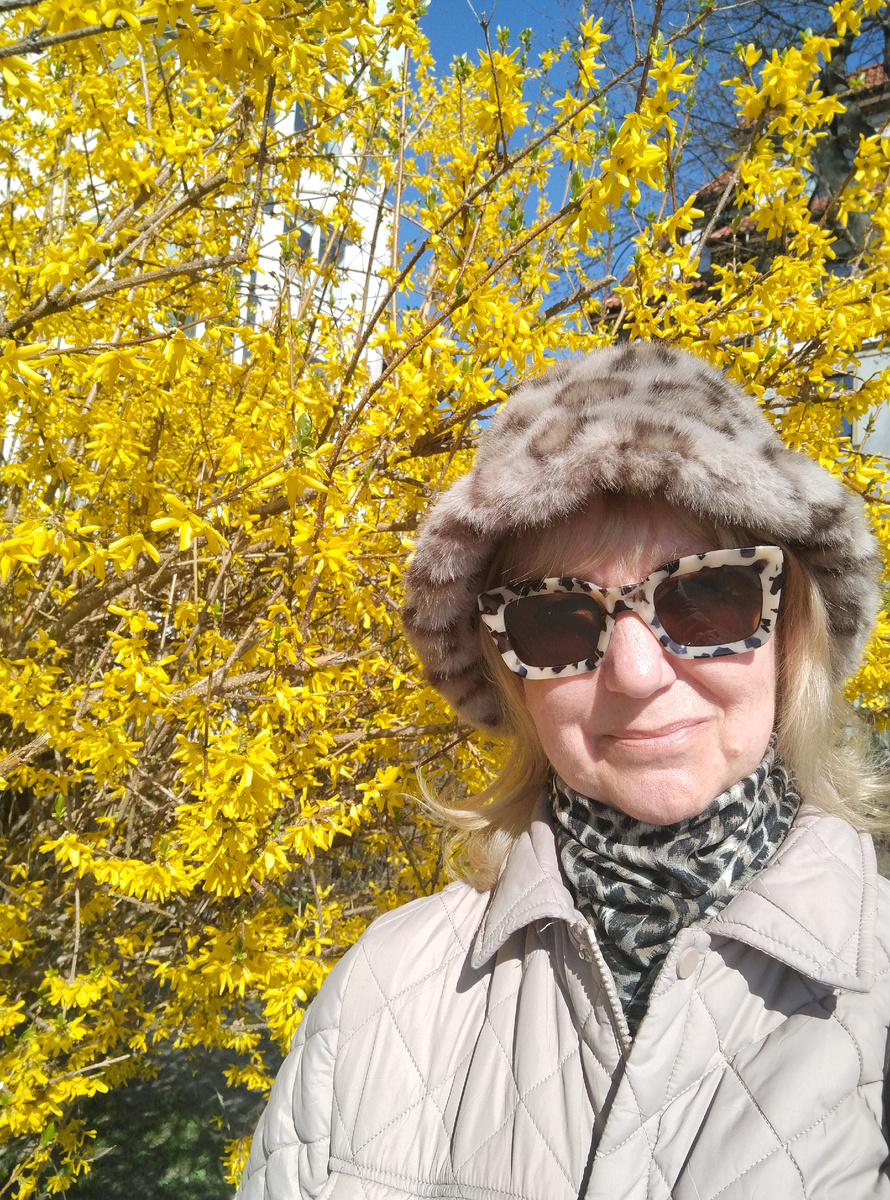 Леопард и форзиция.