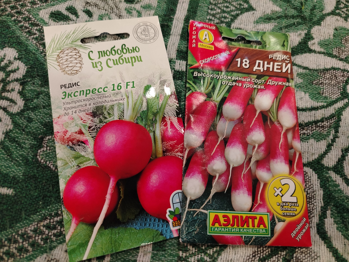 Любимая редиска😁 /фото автора статьи