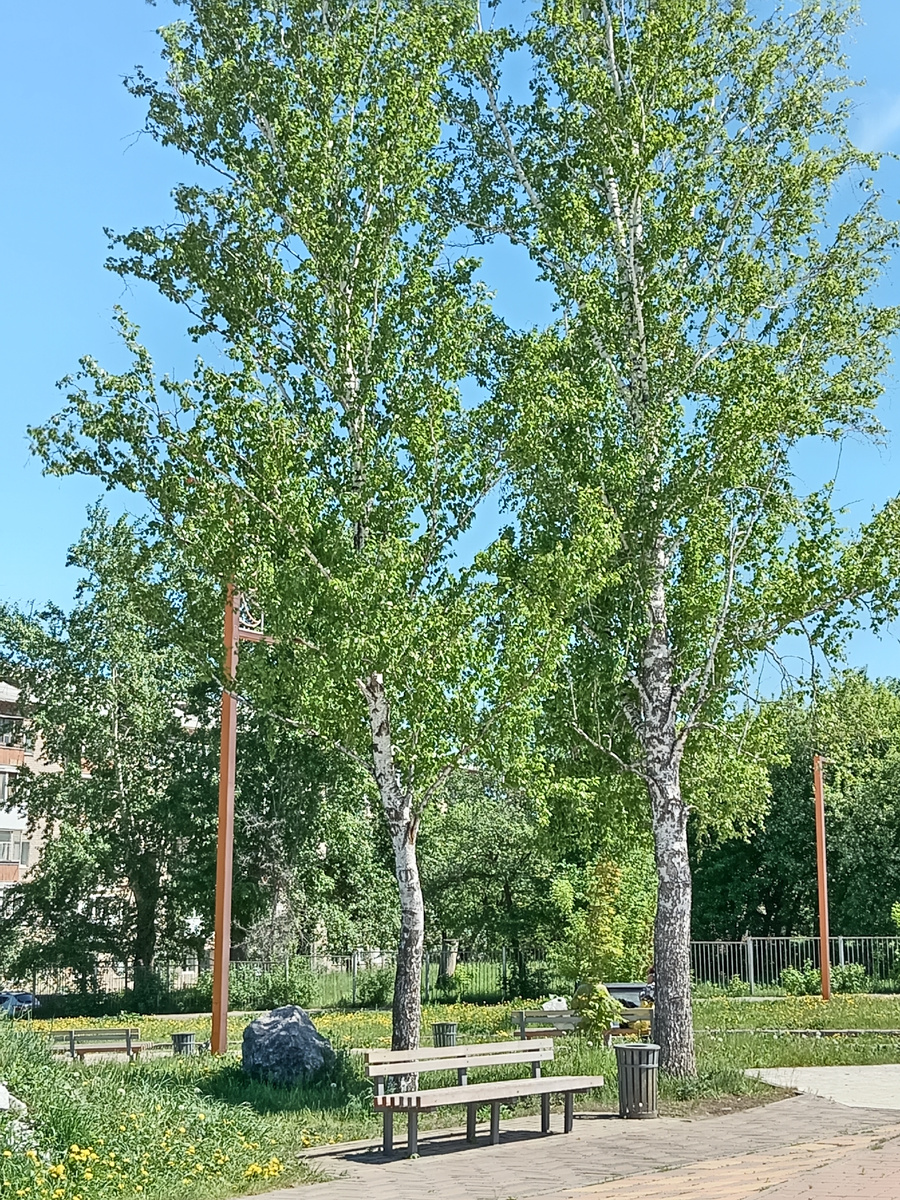Фото из личного архива автора 