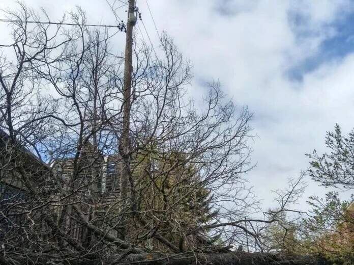 В Прикамье из-за непогоды возникли локальные нарушения электроснабжения