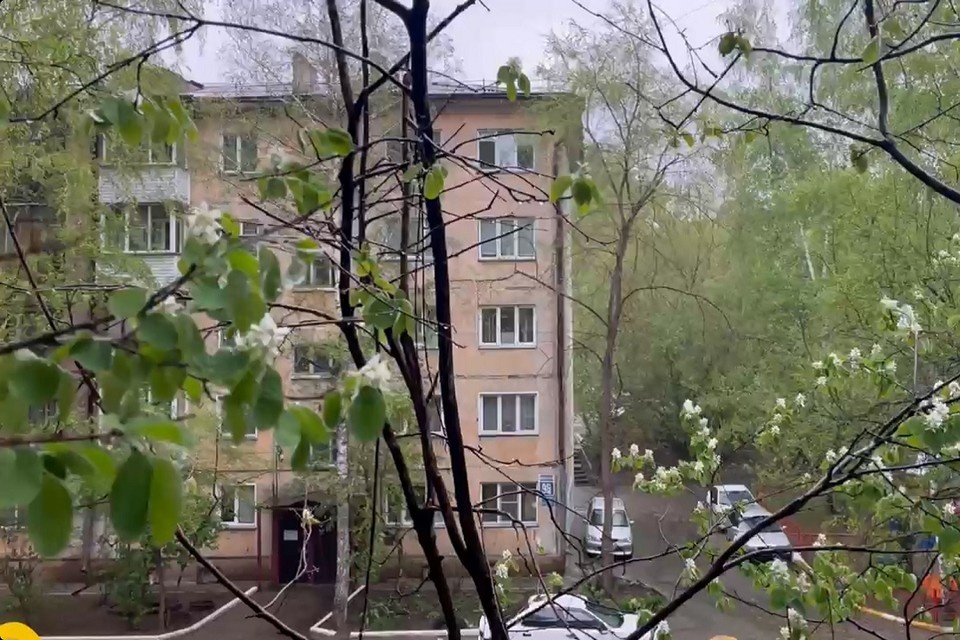    Перед дождем в городе поднялся сильный ветер. Анастасия ТОЛСТОНОГОВА