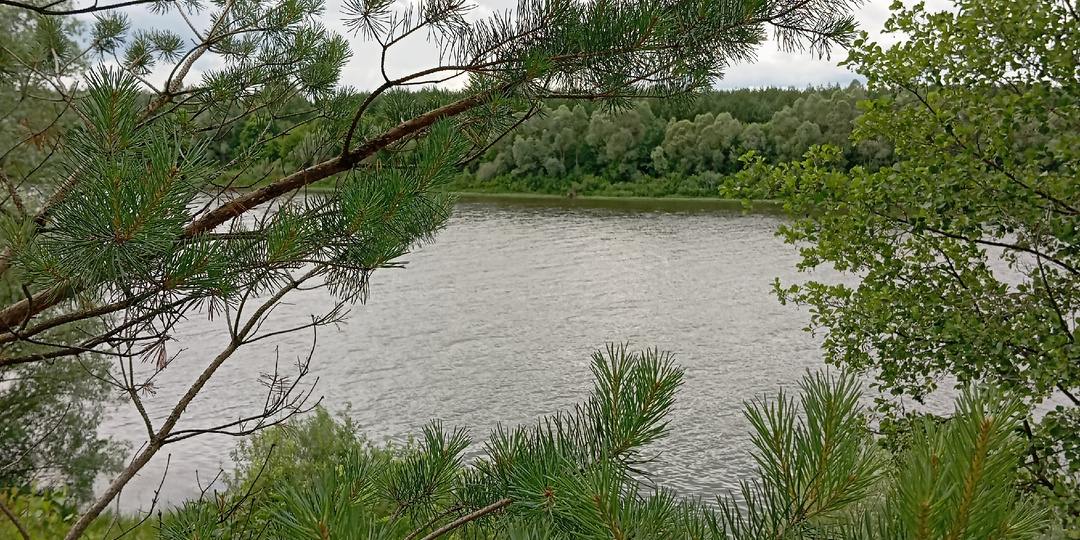 Бесцельно прожитая жизнь