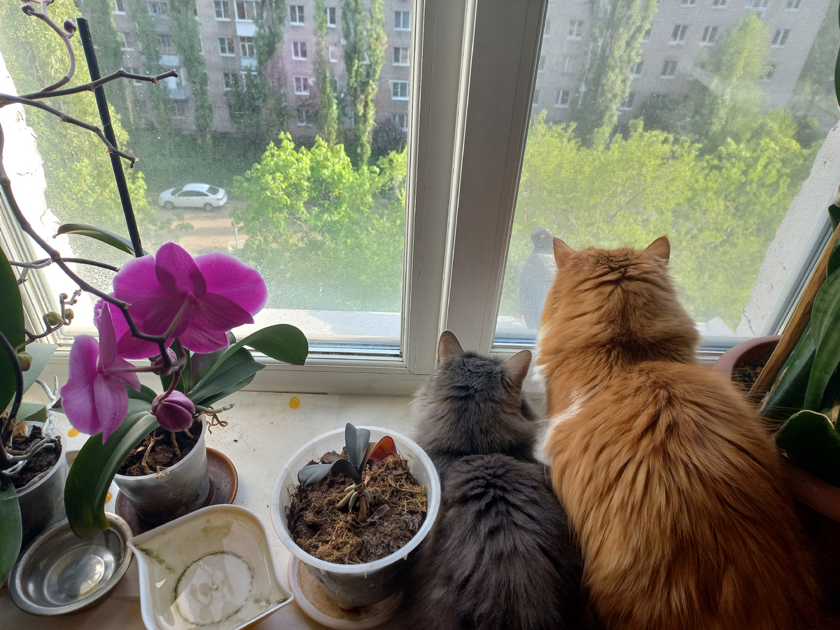Фото личное