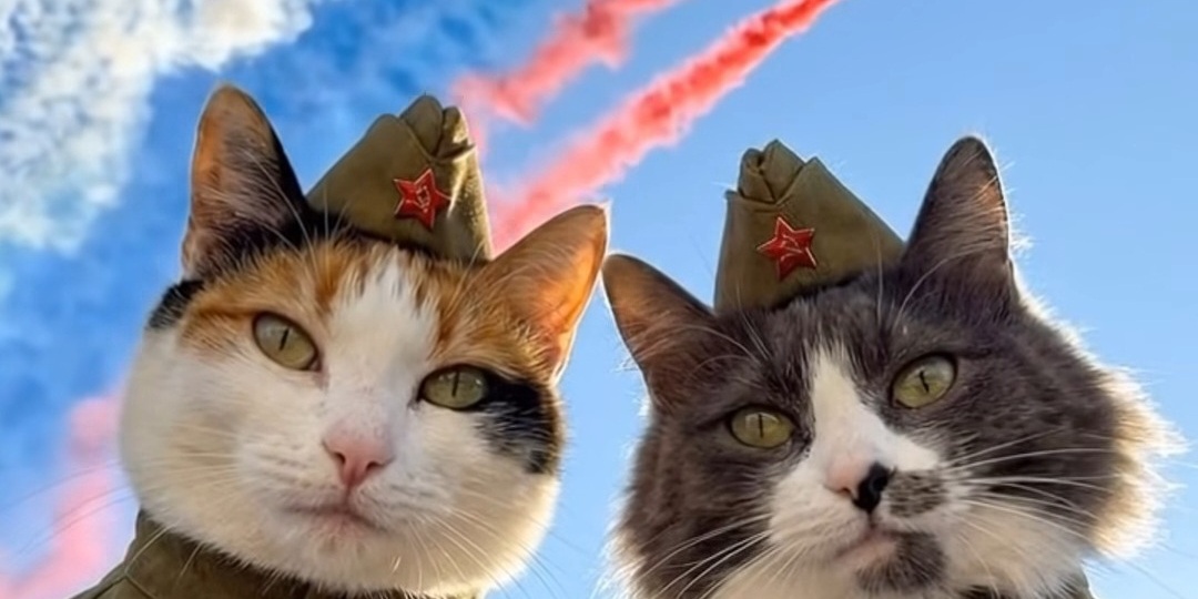 С праздником! В приюте тоже хочется праздника. С 9 мая!