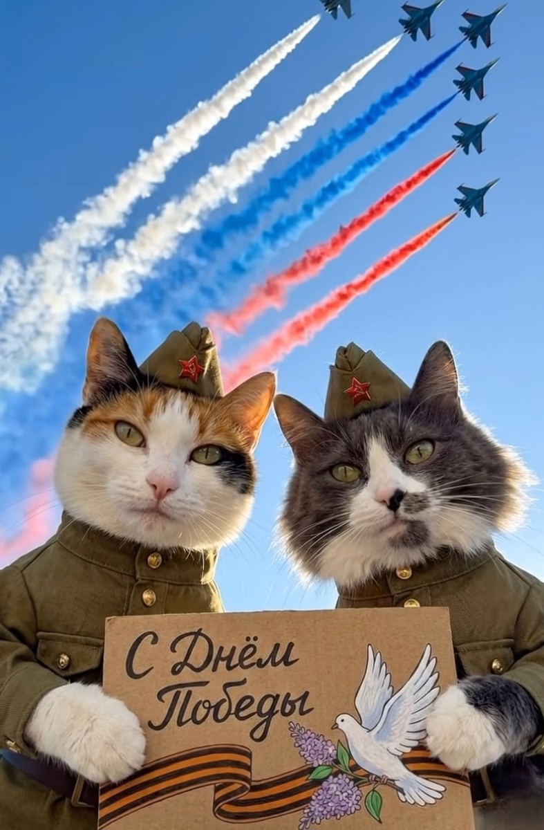 Фото из интернета. С праздником! С днём победы!