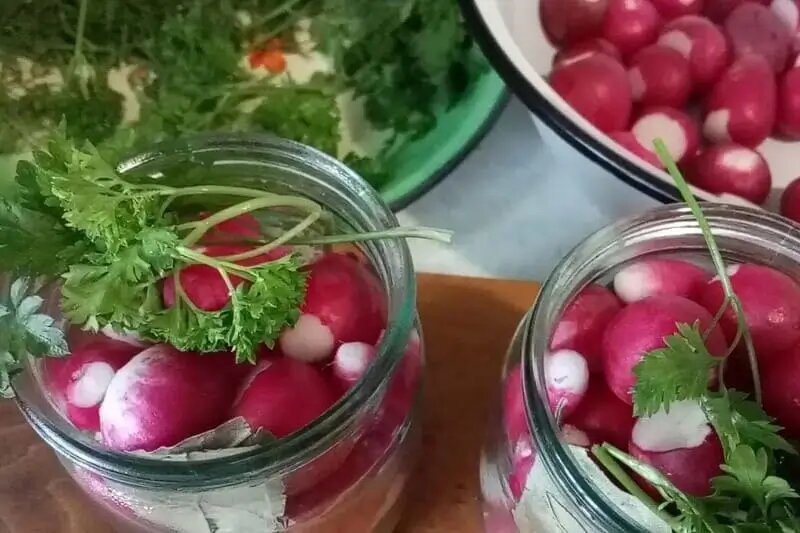 Процесс закладки редиски для квашения