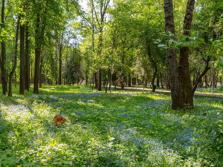   Ольга Шуклина
